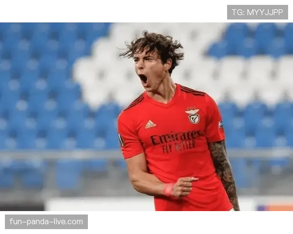 努涅斯的爆发潜力：赛场表现提升的关键制约与突破路径